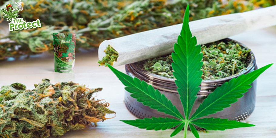 CBD flowers: how to consume them and maximize their benefits ?