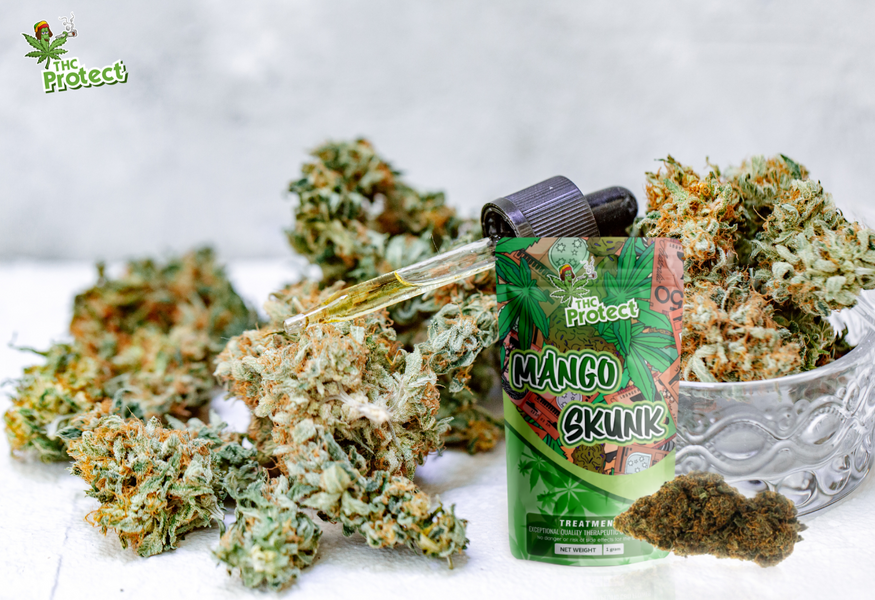 Discover the exceptional potency of the Mango Skunk CBD flower