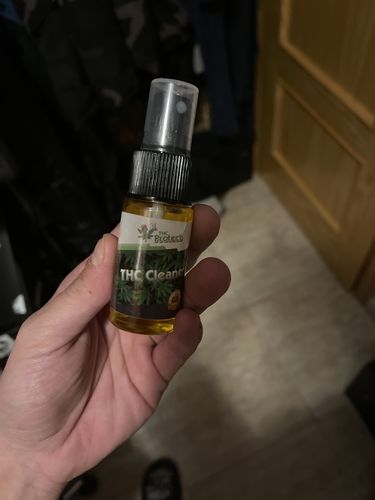 Slika #1 od Sergija R.