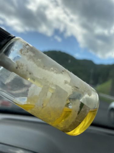 Slika #1 od Yanna H.