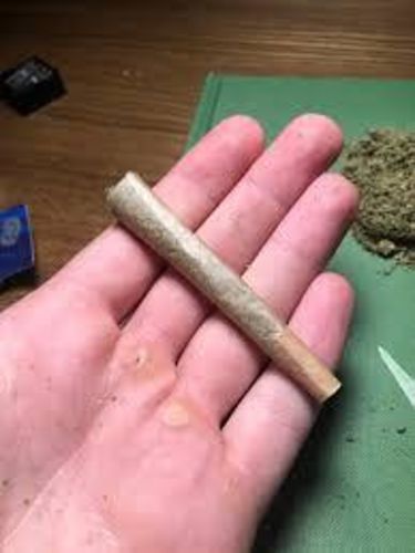 Slika #1 od Antonija T.